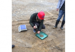 双龙马寨新城（安置点）项目压实度试验